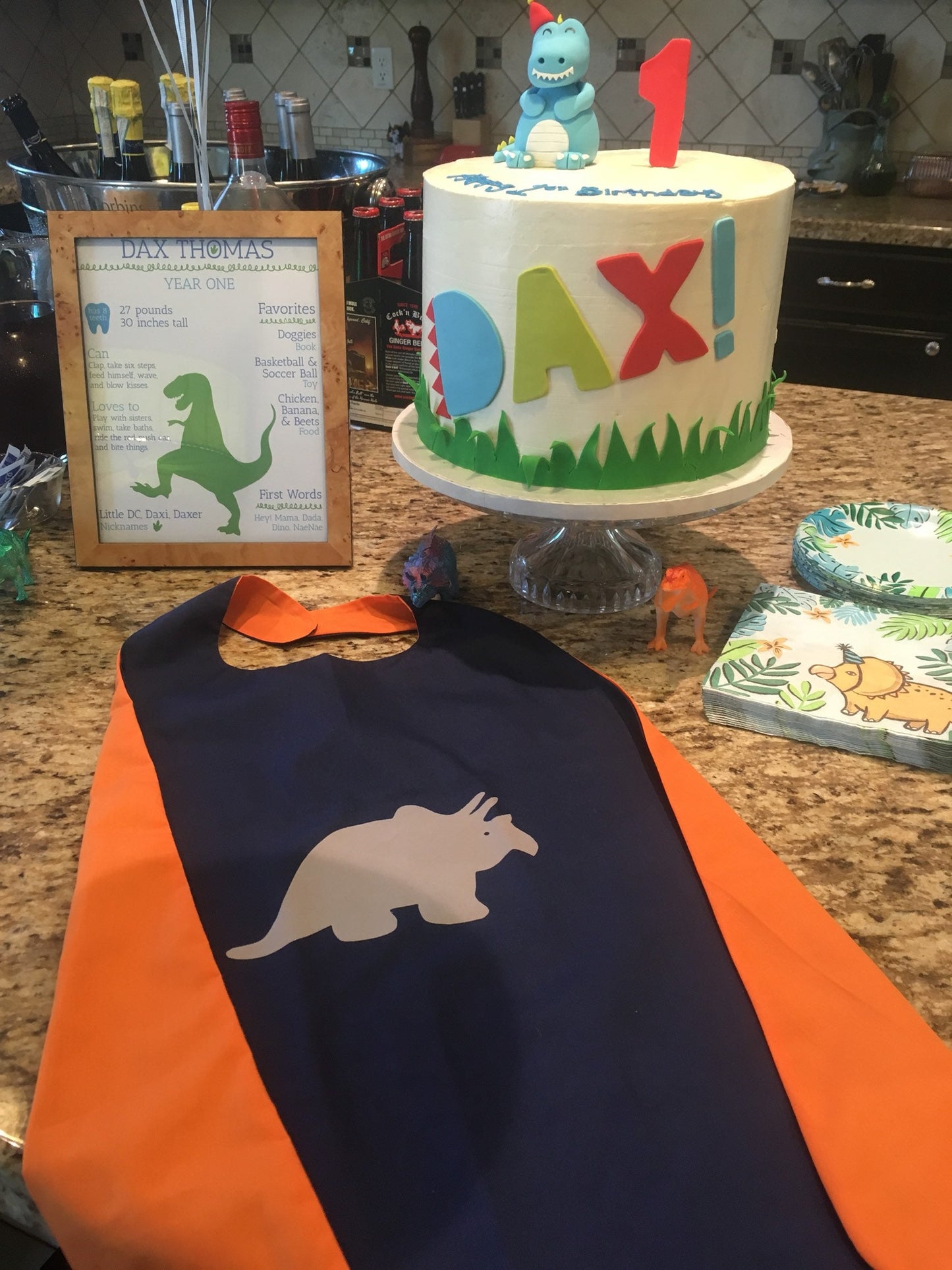 Custom Kid's Dinosaur Cape - Handmade and Reversible