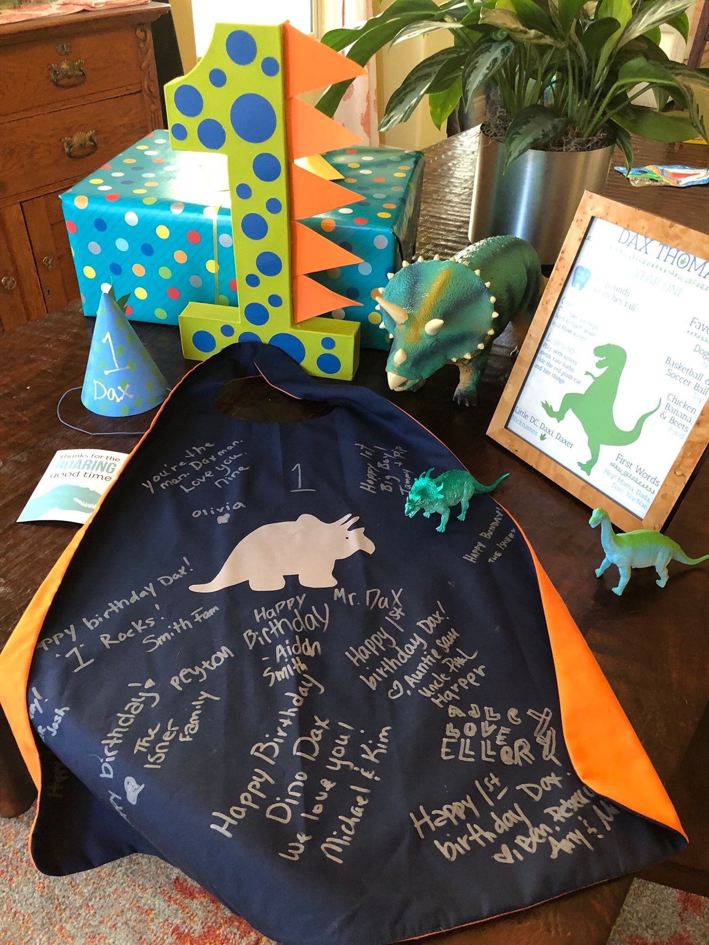 Custom Kid's Dinosaur Cape - Handmade and Reversible