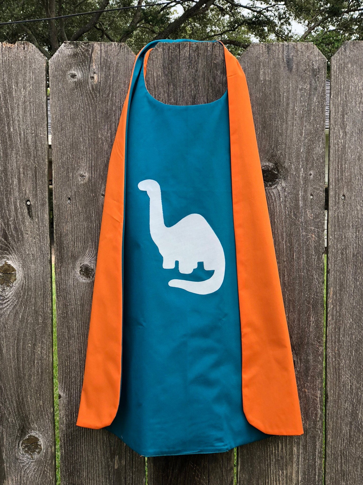 Custom Kid's Dinosaur Cape - Handmade and Reversible