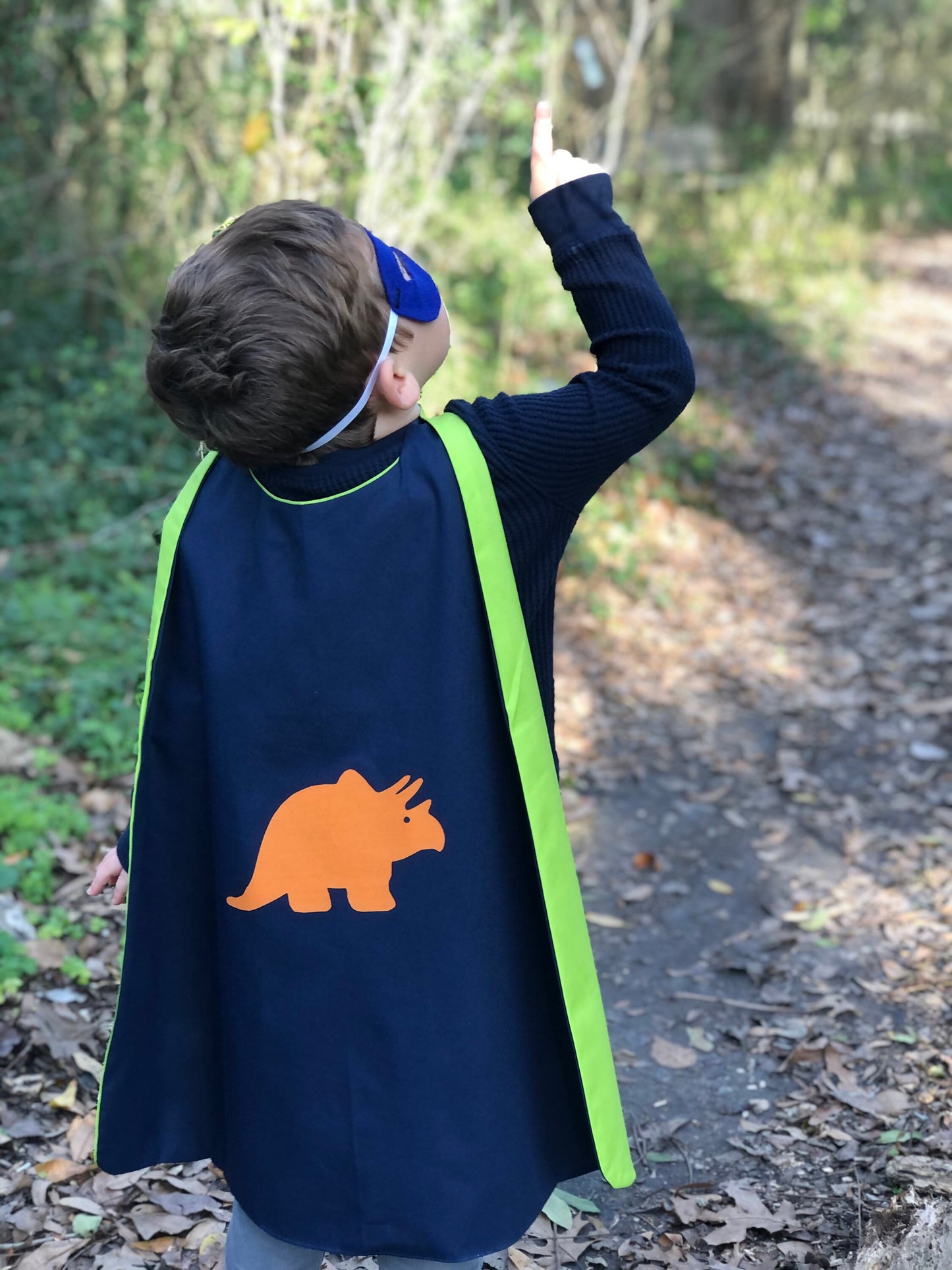 Custom T-Rex Cape - Handmade and Reversible