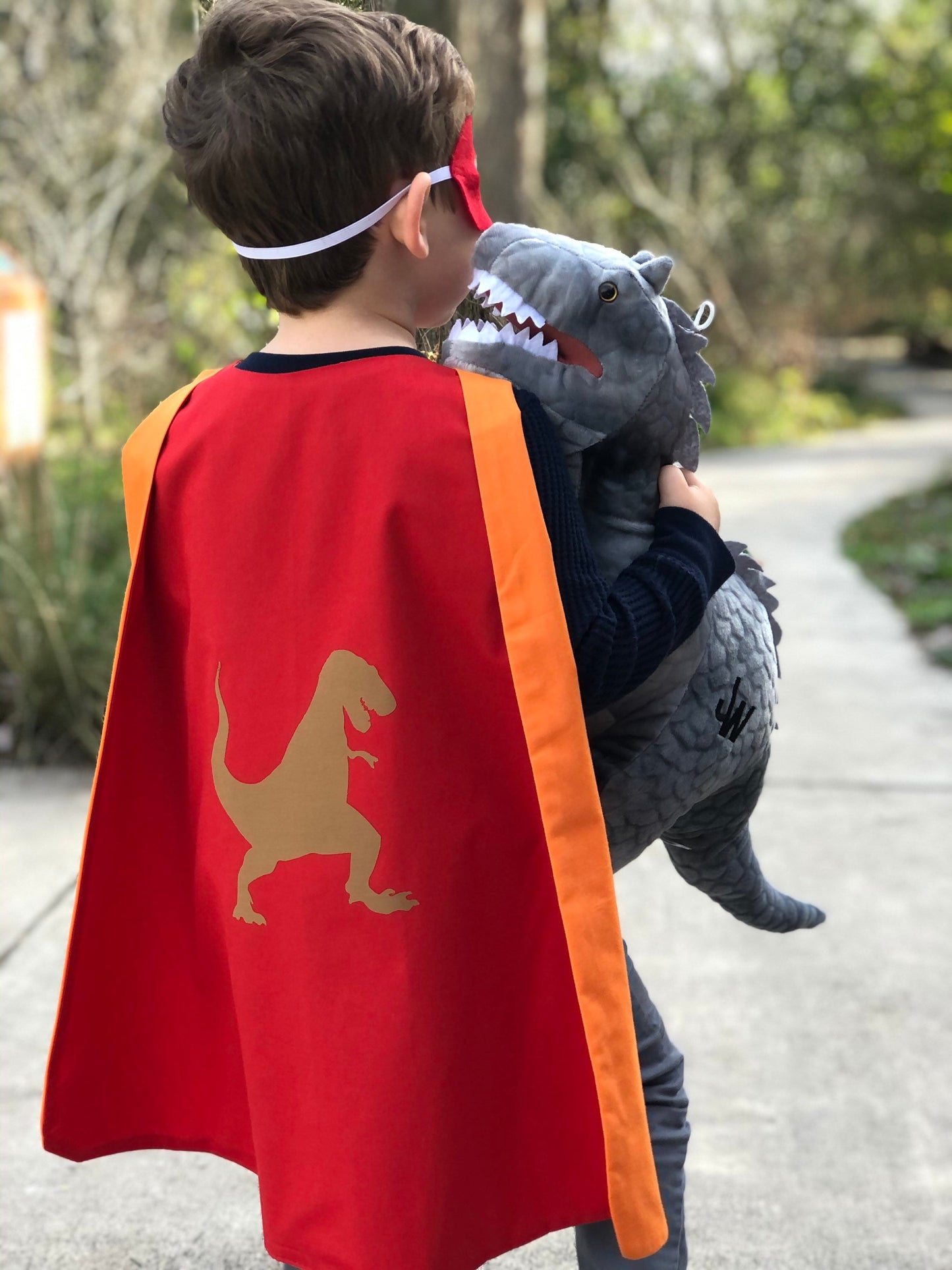 Custom T-Rex Cape - Handmade and Reversible